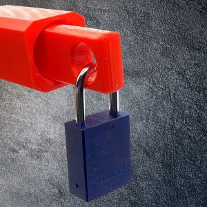 Premium Universal Lock Holder Deluxe